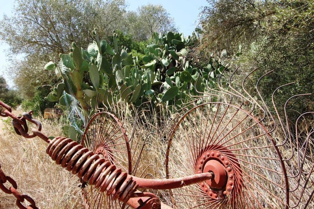 Tomt till salu i Campos - 730 000 € (Ref: 7706917)