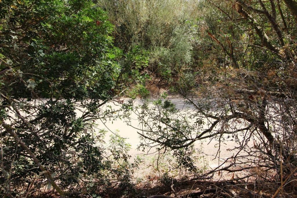 Tomt till salu i Campos - 730 000 € (Ref: 7706917)