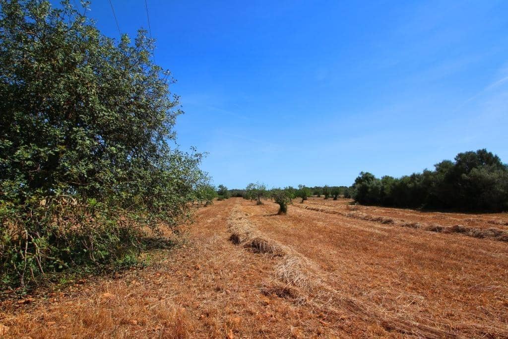 Grunde uden byggetilladelser til salg i Campos - € 170.000 (Ref: 7733749)