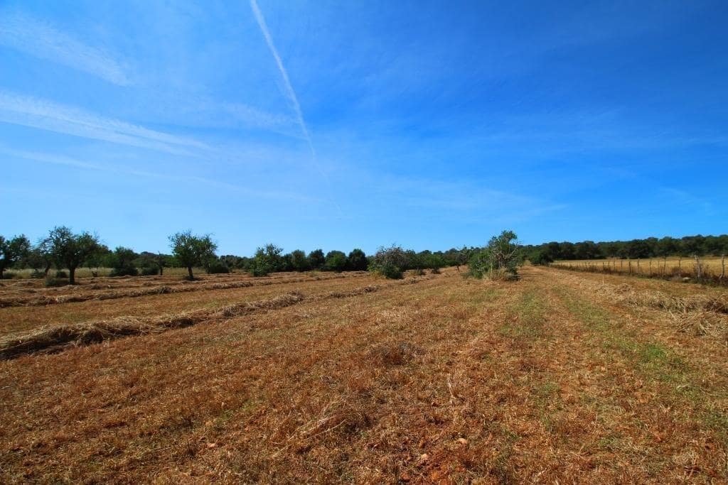 Grunde uden byggetilladelser til salg i Campos - € 170.000 (Ref: 7733749)