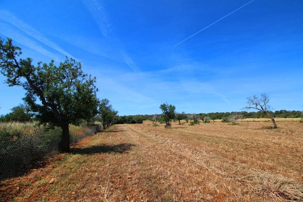 Grunde uden byggetilladelser til salg i Campos - € 170.000 (Ref: 7733749)