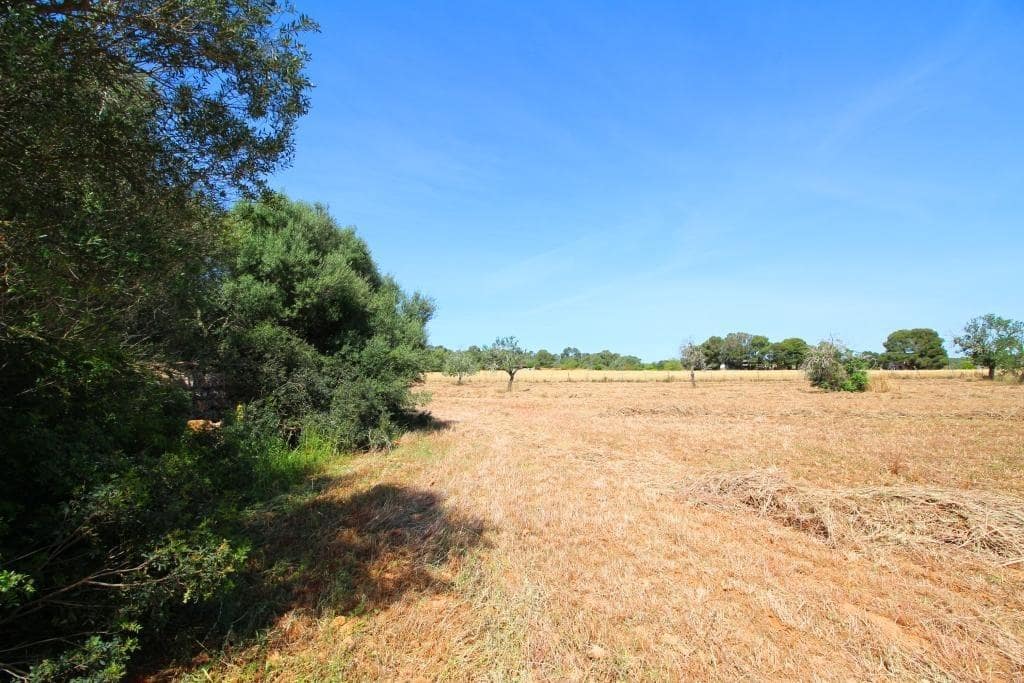 Grunde uden byggetilladelser til salg i Campos - € 170.000 (Ref: 7733749)