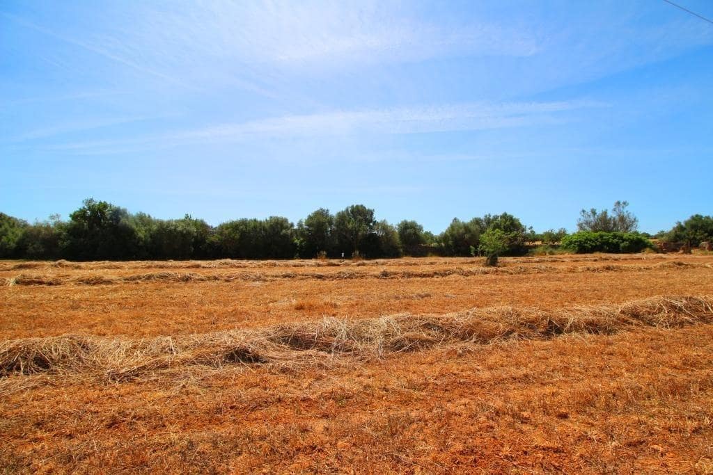 Grunde uden byggetilladelser til salg i Campos - € 170.000 (Ref: 7733749)