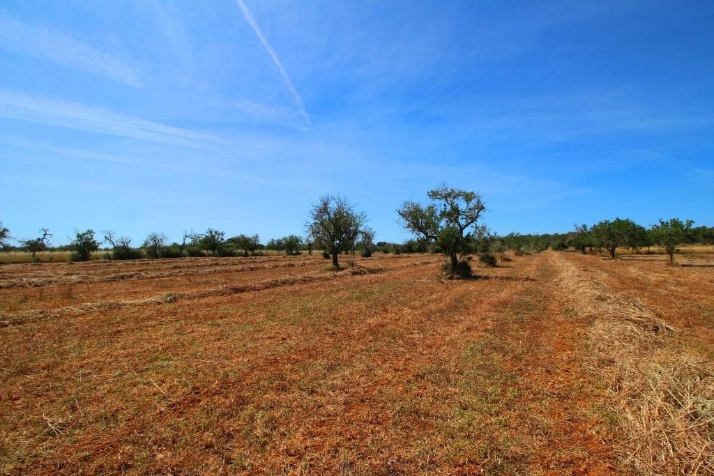 Grunde uden byggetilladelser til salg i Campos - € 170.000 (Ref: 7733749)