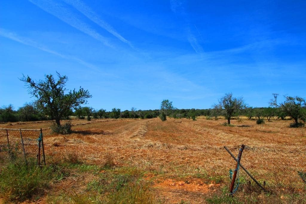 Grunde uden byggetilladelser til salg i Campos - € 170.000 (Ref: 7733749)