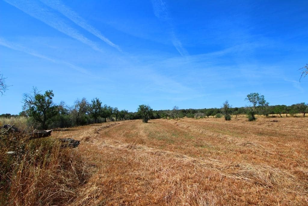 Grunde uden byggetilladelser til salg i Campos - € 170.000 (Ref: 7733749)