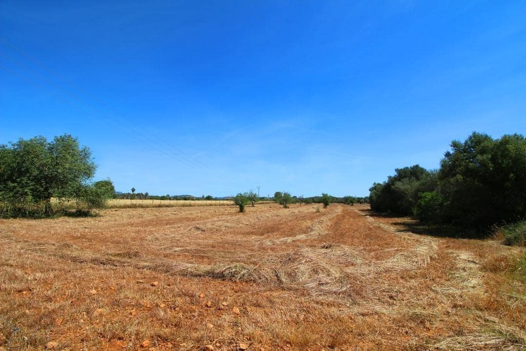 Grunde uden byggetilladelser til salg i Campos - € 170.000 (Ref: 7733749)