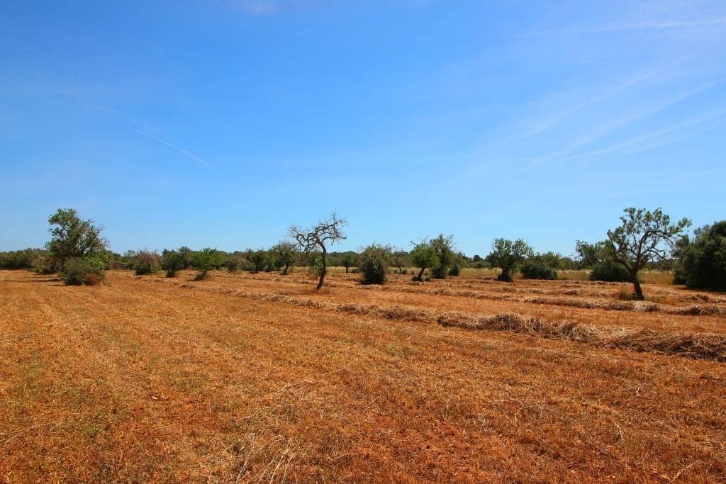 Grunde uden byggetilladelser til salg i Campos - € 170.000 (Ref: 7733749)