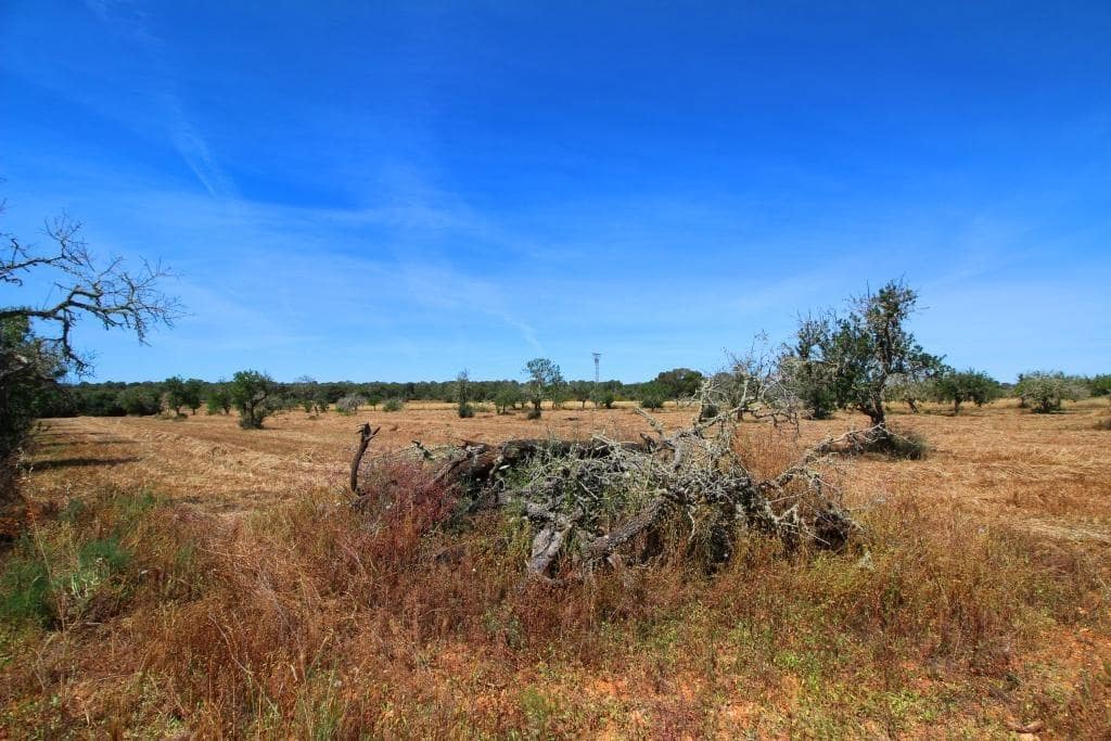 Grunde uden byggetilladelser til salg i Campos - € 170.000 (Ref: 7733749)