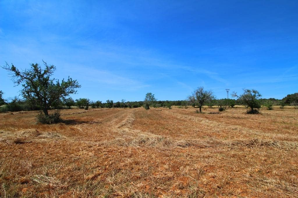 Grunde uden byggetilladelser til salg i Campos - € 170.000 (Ref: 7733749)