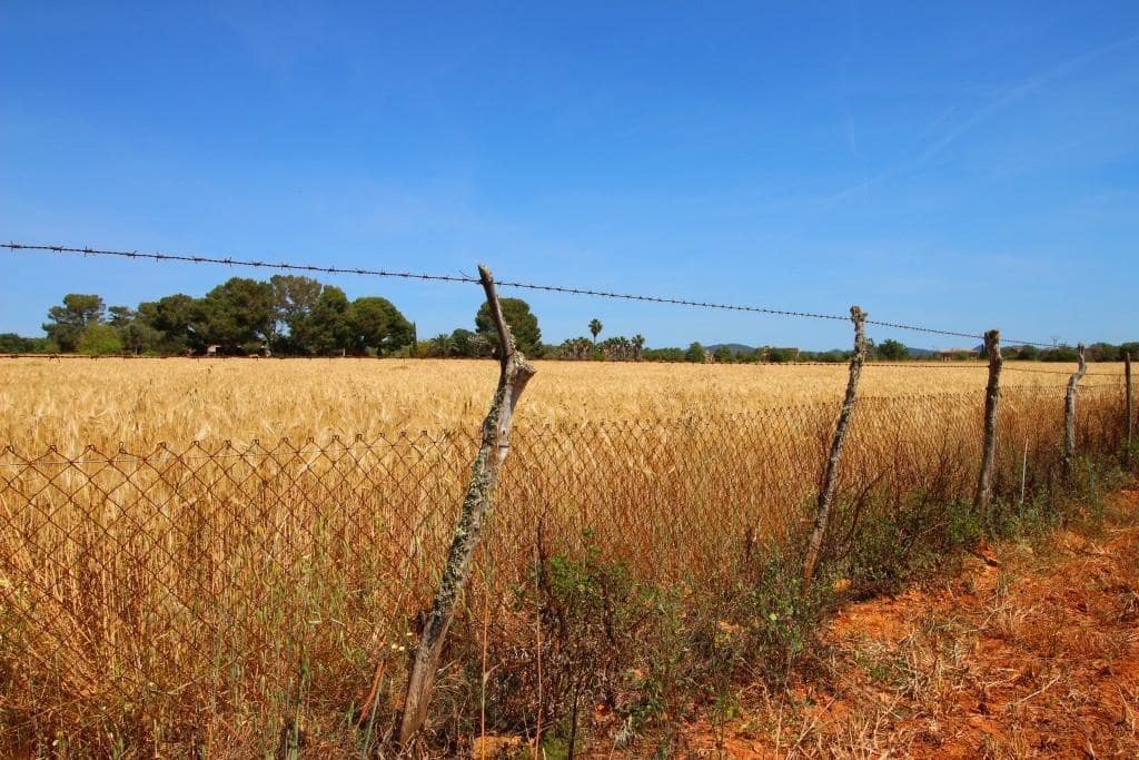 Grunde uden byggetilladelser til salg i Campos - € 170.000 (Ref: 7733749)