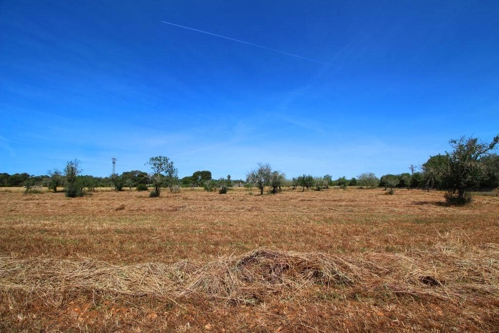 Grunde uden byggetilladelser til salg i Campos - € 170.000 (Ref: 7733749)