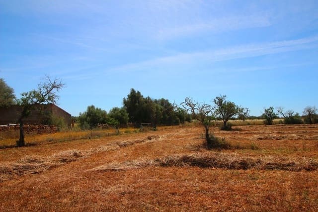 Landgrundstück zu verkaufen in Campos - 170.000 € (Ref: 7733749)