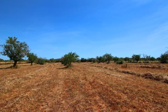 Landgrundstück zu verkaufen in Campos - 170.000 € (Ref: 7733749)