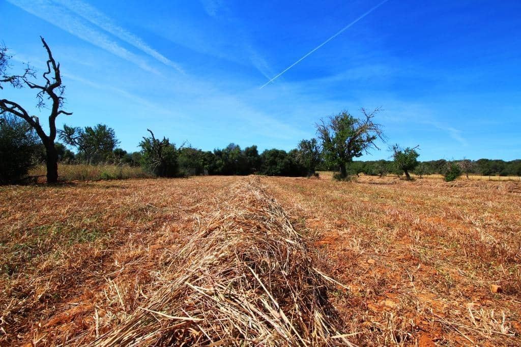 Grunde uden byggetilladelser til salg i Campos - € 170.000 (Ref: 7733749)