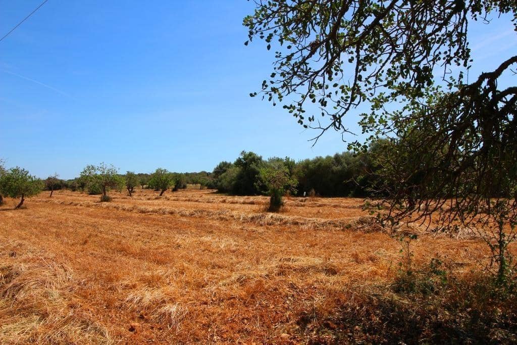 Grunde uden byggetilladelser til salg i Campos - € 170.000 (Ref: 7733749)