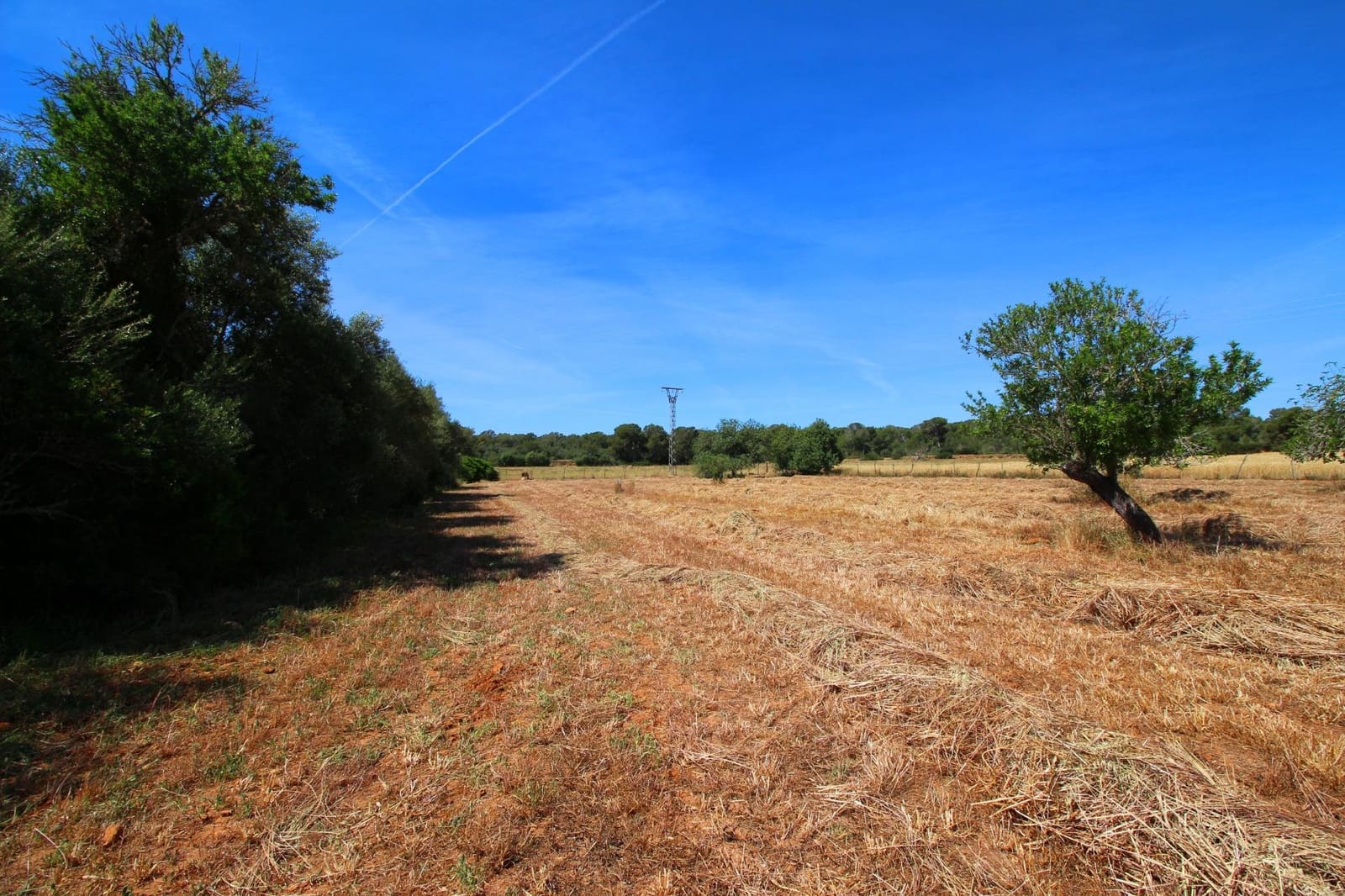 Grunde uden byggetilladelser til salg i Campos - € 170.000 (Ref: 7733749)