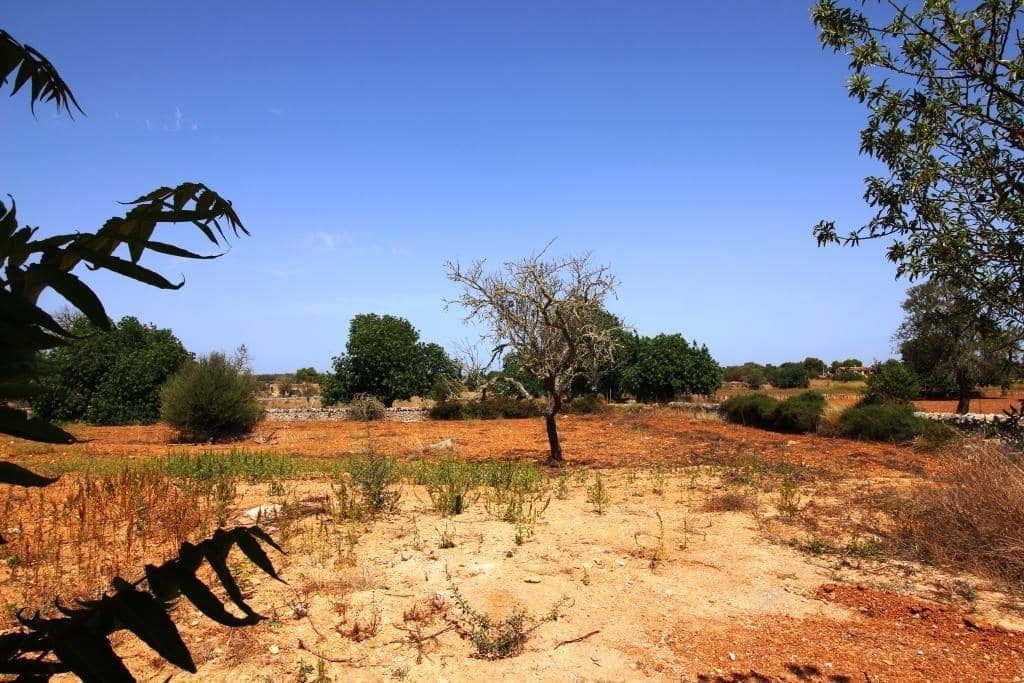 5 soveværelse Villa til leje i Felanitx med swimmingpool - € 9.000 (Ref: 7755289)