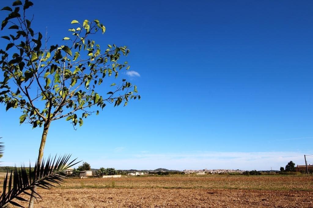 1 soveværelse Finca/Landehus til salg i Montuiri med garage - € 410.000 (Ref: 7843208)