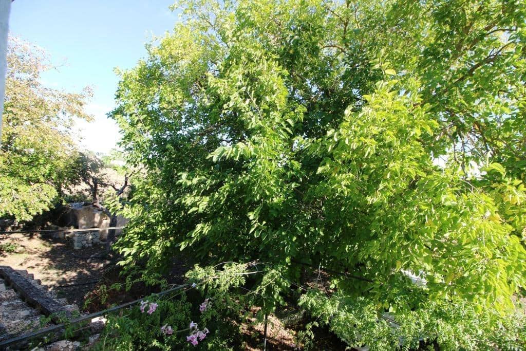 1 soveværelse Finca/Landehus til salg i Montuiri med garage - € 410.000 (Ref: 7843208)