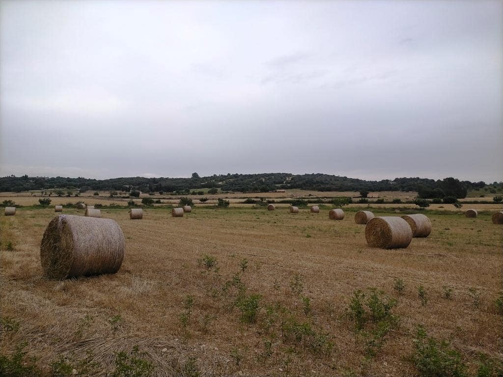 1 soveværelse Finca/Landehus til salg i Montuiri med garage - € 410.000 (Ref: 7843208)