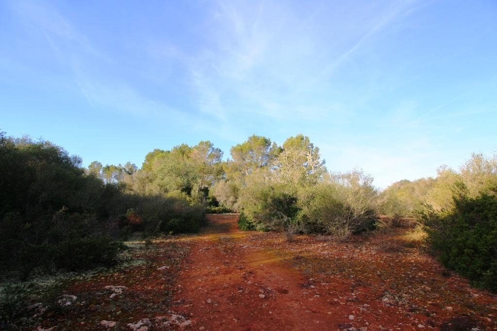 Byggegrund til salg i Campos - € 685.000 (Ref: 7978173)