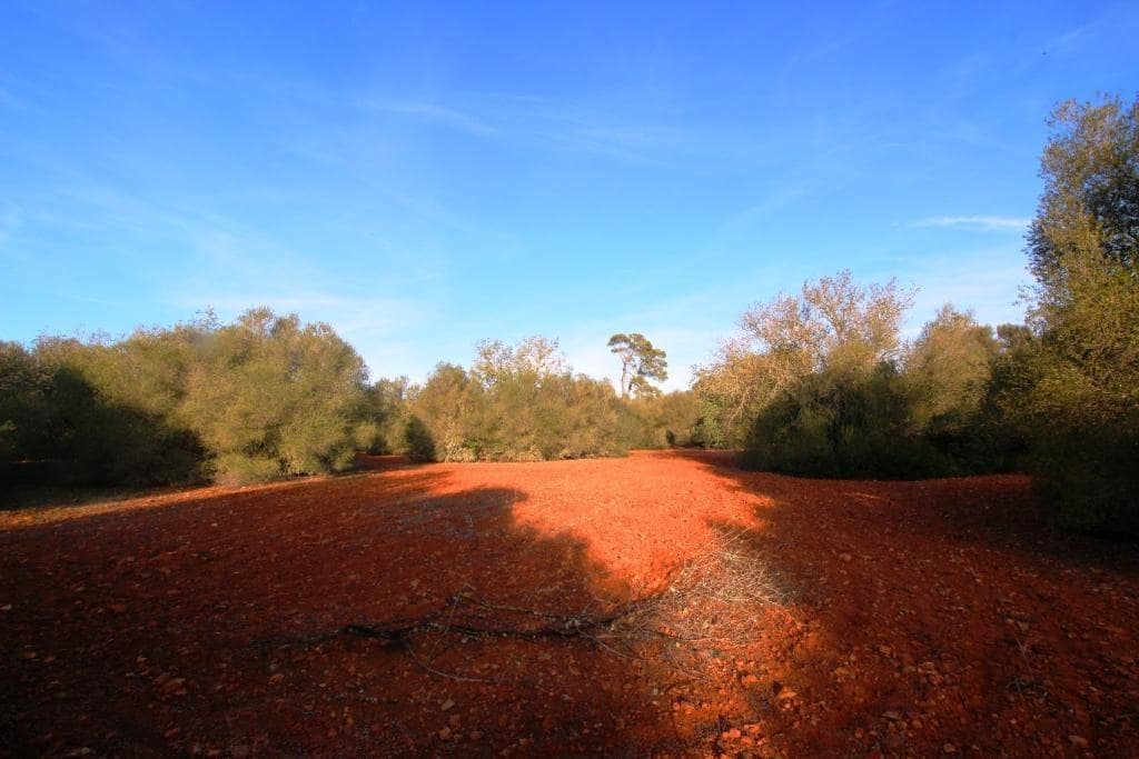 Byggegrund til salg i Campos - € 685.000 (Ref: 7978173)