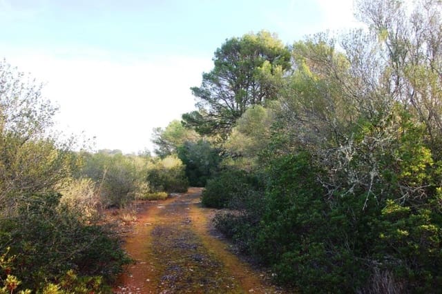 Tomt till salu i Campos - 685 000 € (Ref: 7978173)