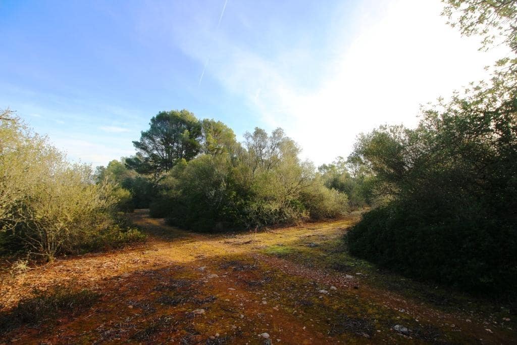 Byggegrund til salg i Campos - € 685.000 (Ref: 7978173)