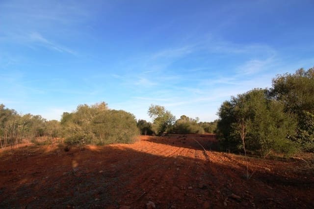 Tomt till salu i Campos - 685 000 € (Ref: 7978173)