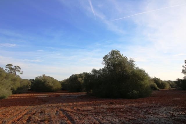 Tomt till salu i Campos - 685 000 € (Ref: 7978173)