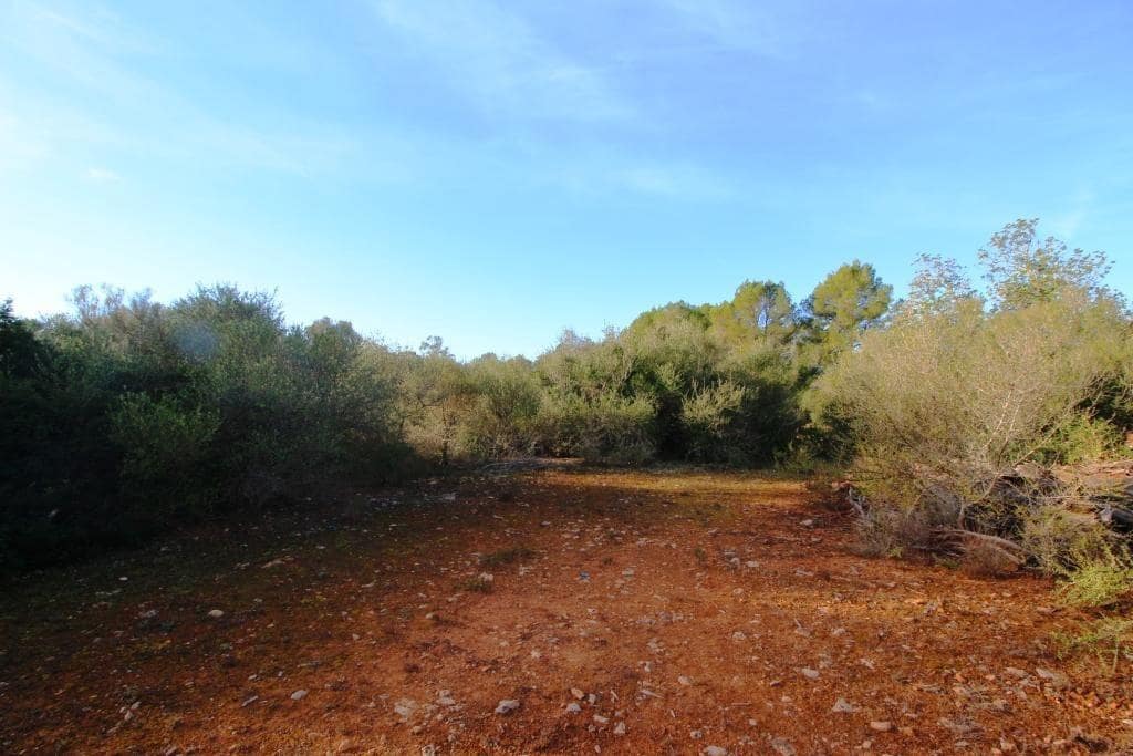 Byggegrund til salg i Campos - € 685.000 (Ref: 7978173)