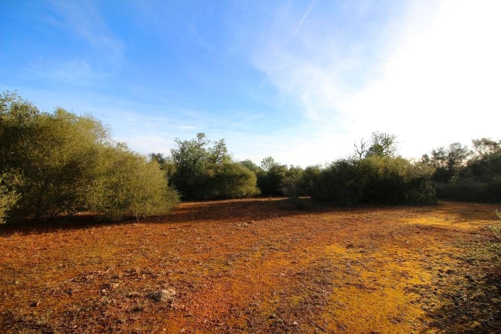 Byggegrund til salg i Campos - € 685.000 (Ref: 7978173)