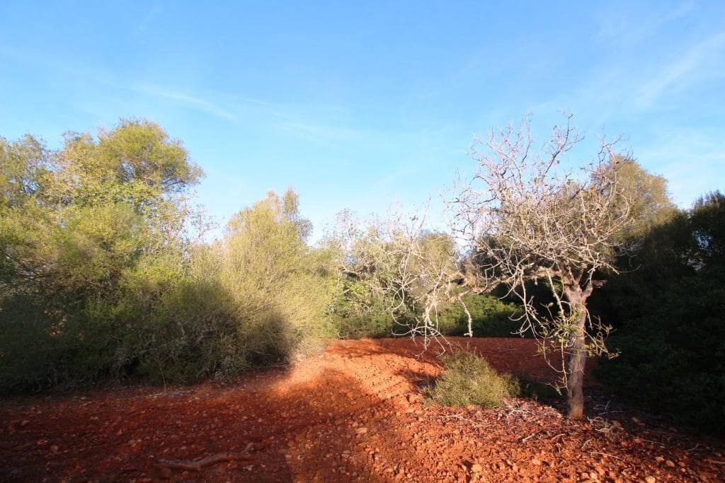 Byggegrund til salg i Campos - € 685.000 (Ref: 7978173)