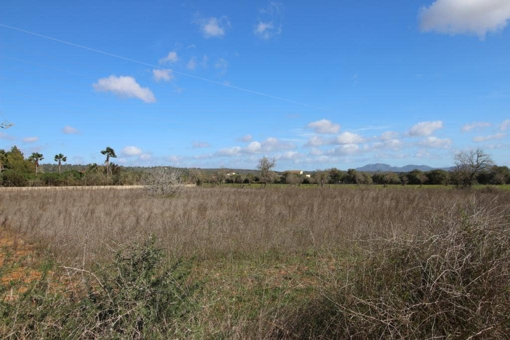 Byggegrund til salg i Campos - € 225.000 (Ref: 8070182)