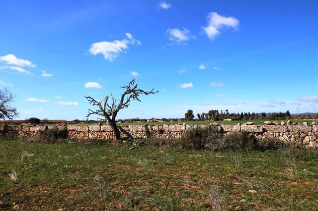 Tomt till salu i Campos - 225 000 € (Ref: 8070182)