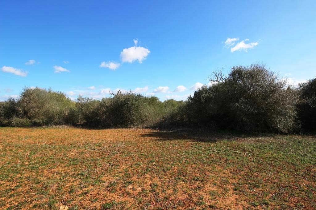 Byggegrund til salg i Campos - € 225.000 (Ref: 8070182)