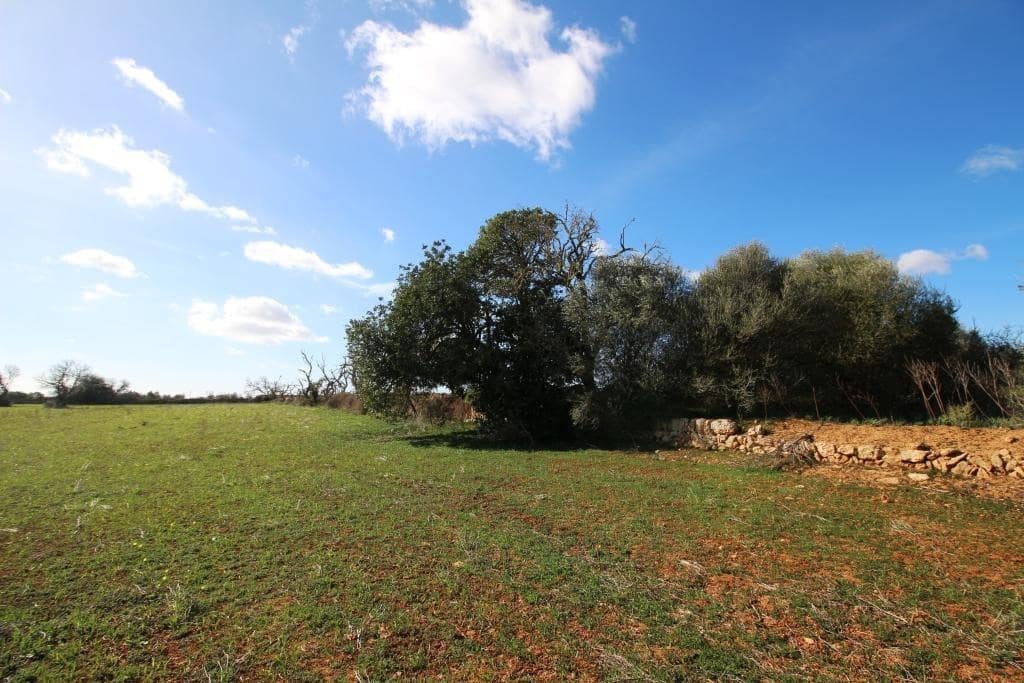 Byggegrund til salg i Campos - € 225.000 (Ref: 8070182)