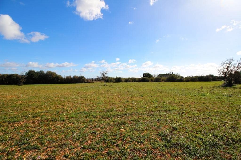 Byggegrund til salg i Campos - € 225.000 (Ref: 8070182)