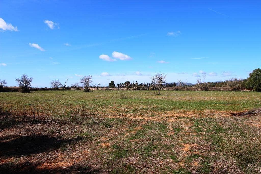 Byggegrund til salg i Campos - € 225.000 (Ref: 8070182)