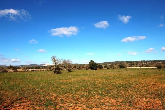 Tomt till salu i Campos - 225 000 € (Ref: 8070182)