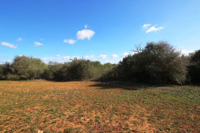 Tomt till salu i Campos - 225 000 € (Ref: 8070182)