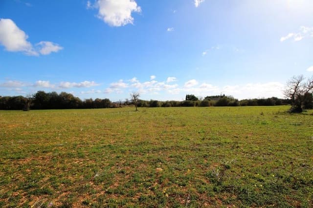 Tomt till salu i Campos - 225 000 € (Ref: 8070182)