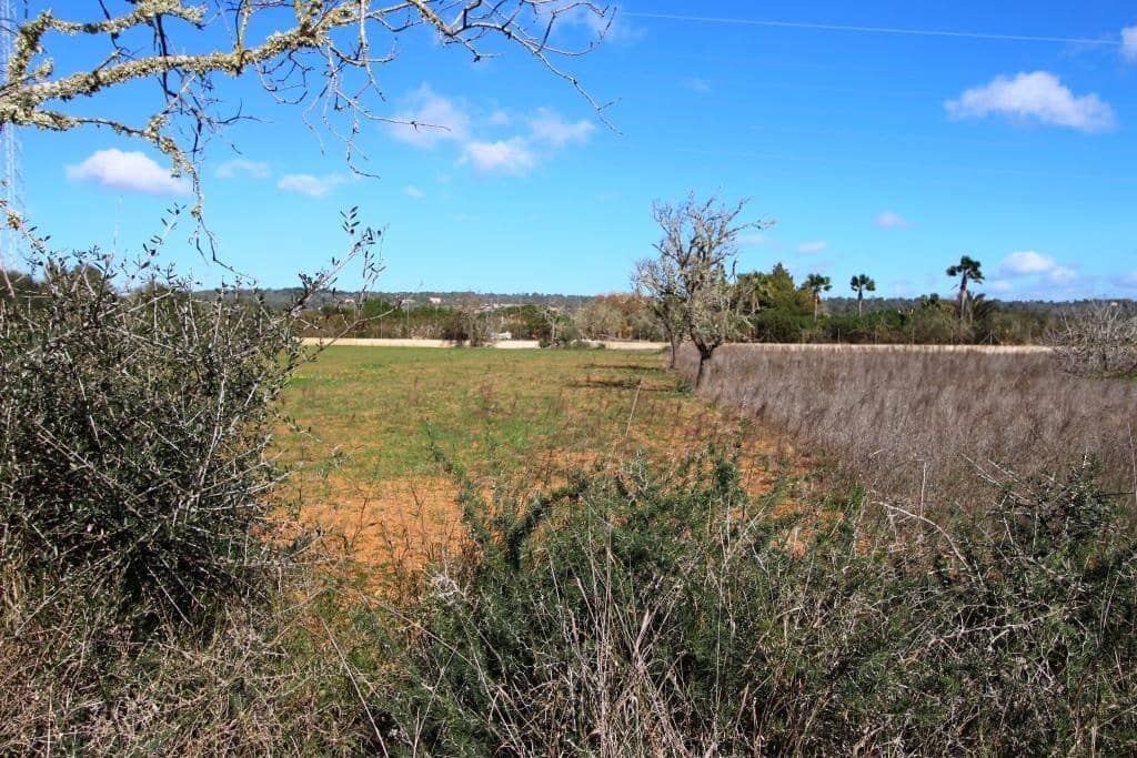 Byggegrund til salg i Campos - € 225.000 (Ref: 8070182)