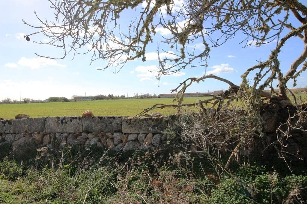 Byggegrund til salg i Campos - € 225.000 (Ref: 8070182)