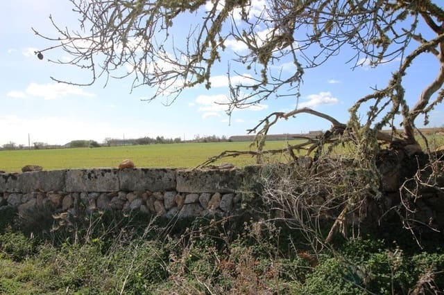 Tomt till salu i Campos - 225 000 € (Ref: 8070182)