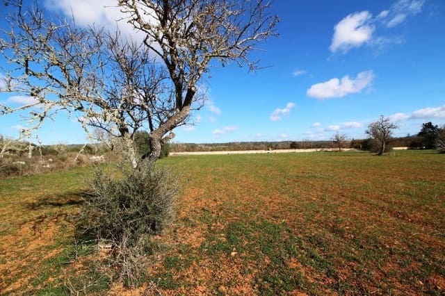 Tomt till salu i Campos - 225 000 € (Ref: 8070182)