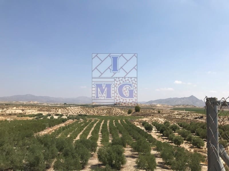 Undeveloped Land for sale in Fortuna - € 72,000 (Ref: 9412293)