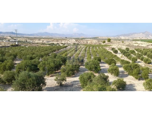 Undeveloped Land for sale in Fortuna - € 72,000 (Ref: 9412293)