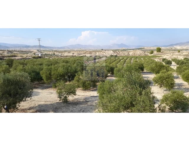 Undeveloped Land for sale in Fortuna - € 72,000 (Ref: 9412293)